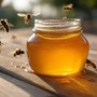 Api e miele, la Regione punta a rinforzare il ronzio. Bongioanni: &quot;Due milioni per l’apicoltura piemontese&quot;