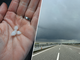 Immagini tratte dal canale Telegram di Dati Meteo Asti Immagini tratte dal canale Telegram di Dati Meteo Asti