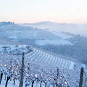 Prima neve di stagione sulla Langa astigiana: l'inverno arriva nel weekend Prima neve di stagione sulla Langa astigiana: l'inverno arriva nel weekend