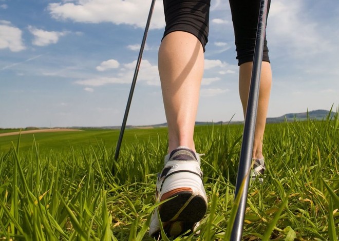 Immagine generica Immagine generica