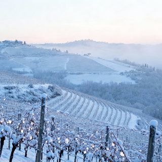 Prima neve di stagione sulla Langa astigiana: l'inverno arriva nel weekend Prima neve di stagione sulla Langa astigiana: l'inverno arriva nel weekend