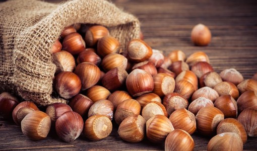 Nocciole, raccolta anticipata e produzione superiore al 2025: “Il mercato sappia valorizzare il prodotto” Nocciole, raccolta anticipata e produzione superiore al 2025: “Il mercato sappia valorizzare il prodotto”