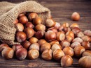 Torna a Castellero la Fiera Città della Nocciola, tra degustazioni e innovazione