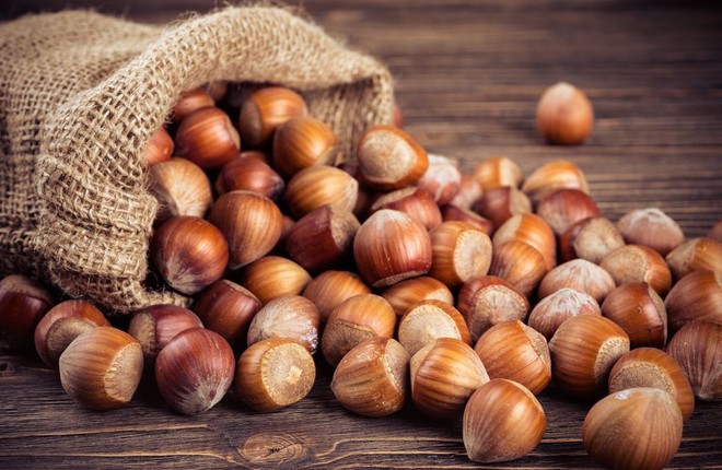 Nocciole, raccolta anticipata e produzione superiore al 2025: “Il mercato sappia valorizzare il prodotto” Nocciole, raccolta anticipata e produzione superiore al 2025: “Il mercato sappia valorizzare il prodotto”