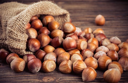 Torna a Castellero la Fiera Città della Nocciola, tra degustazioni e innovazione