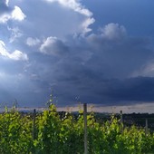 Una delle tante foto postate quotidianamente sul canale Telegram Dati Meteo Asti che segnalano le condizioni meteo sul territorio dell'Astigiano