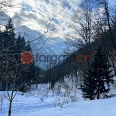 Neve e nuova allerta gialla su tutta la Granda. In Alta Langa attesi fino a 30 centimetri Neve e nuova allerta gialla su tutta la Granda. In Alta Langa attesi fino a 30 centimetri