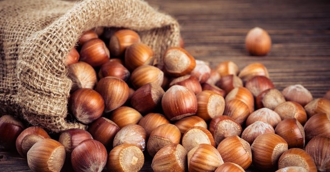 Nocciole, raccolta anticipata e produzione superiore al 2025: “Il mercato sappia valorizzare il prodotto” Nocciole, raccolta anticipata e produzione superiore al 2025: “Il mercato sappia valorizzare il prodotto”