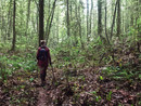 Monferrato Nordic Walking: una settimana di camminate ed eventi