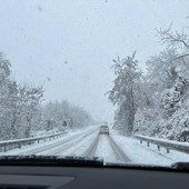 METEO / Il freddo torna protagonista: nel fine settimana neve in arrivo anche in pianura