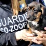 Guardia eco-zoofila (ph. Oipa)