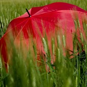 In Piemonte l'estate meteorologica inizia con l'allerta gialla per temporali