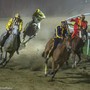 (Ph. Benini - tratta dalla pagina Facebook Ente Palio della città di Ferrara)