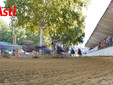 Le immagini del Palio (Ph Rozzino Filippo) Le immagini del Palio (Ph Rozzino Filippo)