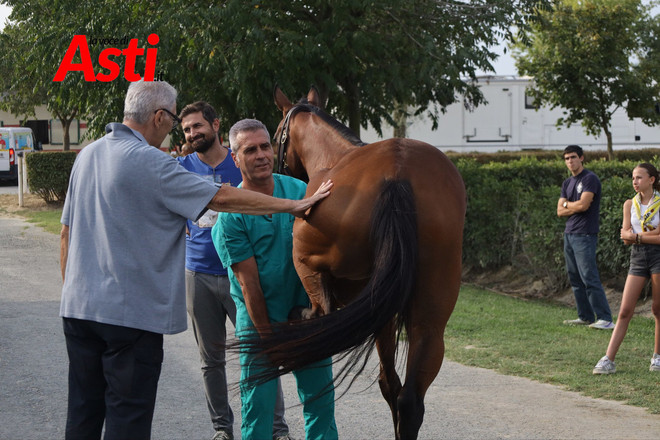 Le visite veterinarie di questa mattina (Merphefoto) Le visite veterinarie di questa mattina (Merphefoto)
