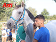 Il secondo giorno di visite (Merphefoto) Il secondo giorno di visite (Merphefoto)