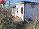 La colonia felina della Casa dell'Avvocato (Merphefoto)