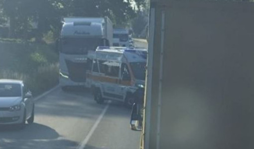 Incidente questa mattina a Palucco, una moto si è scontrata contro un capriolo Incidente questa mattina a Palucco, una moto si è scontrata contro un capriolo