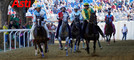 Le immagini del Palio (Ph Rozzino Filippo)