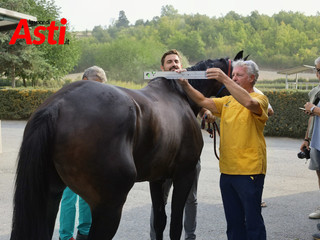 Le visite veterinarie di questa mattina (Merphefoto) Le visite veterinarie di questa mattina (Merphefoto)