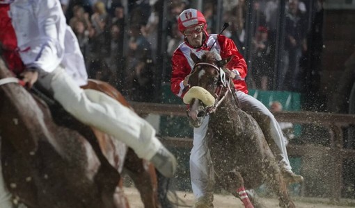 Palio, nella notte a Legnano scompare l'impianto di addestramento: "Un gesto vile che colpisce la tradizione" Palio, nella notte a Legnano scompare l'impianto di addestramento: "Un gesto vile che colpisce la tradizione"