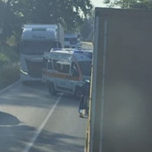 Incidente questa mattina a Palucco, una moto si è scontrata  contro un capriolo