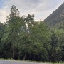 Meteo, l'autunno in Piemonte tra caldo oltre la norma e forti piogge: le previsioni di Arpa Meteo, l'autunno in Piemonte tra caldo oltre la norma e forti piogge: le previsioni di Arpa
