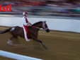 Le immagini del Palio (Ph Rozzino Filippo) Le immagini del Palio (Ph Rozzino Filippo)