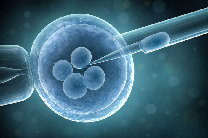 Dalla procreazione medicalmente assistita alla chirurgia nell’anziano: due appuntamenti medico-scientifici venerdì 27 marzo ad Asti