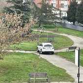 In via Torchio giardini usati come parcheggi e fuochi d'artificio a mezzanotte [VIDEO]