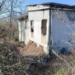 La colonia felina della Casa dell'Avvocato (Merphefoto)