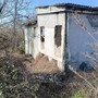 La colonia felina della Casa dell'Avvocato (Merphefoto)