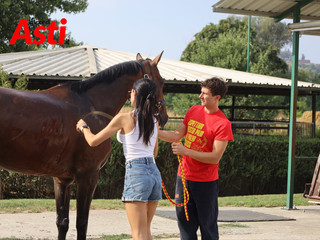 Le visite veterinarie di questa mattina (Merphefoto) Le visite veterinarie di questa mattina (Merphefoto)