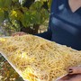 Oggi è il World Pasta Day, per un gusto senza tempo
