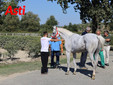 Il secondo giorno di visite (Merphefoto) Il secondo giorno di visite (Merphefoto)