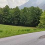 L'immagine mostra la strada bagnata dove non ci sono gli alberi a fare da riparo