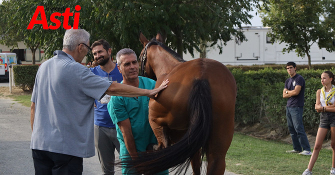 Le visite veterinarie di questa mattina (Merphefoto)