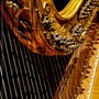 Asti si prepara alla seconda edizione di &quot;Arpe Diem&quot;