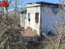 La colonia felina della Casa dell'Avvocato (Merphefoto)