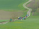 Camminando con Libera, una passeggiata solidale verso Cascina Graziella Camminando con Libera, una passeggiata solidale verso Cascina Graziella