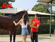 Le visite veterinarie di questa mattina (Merphefoto) Le visite veterinarie di questa mattina (Merphefoto)