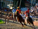 La vittoria di Legnarello nel 2024 con Antonio Siri ( Le foto dell'articolo per gentile concessione di LegnanoNews) La vittoria di Legnarello nel 2024 con Antonio Siri ( Le foto dell'articolo per gentile concessione di LegnanoNews)