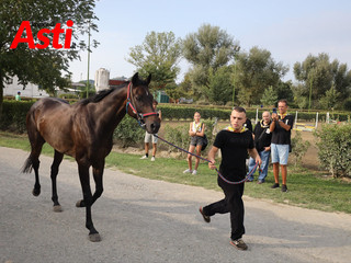 Le visite veterinarie di questa mattina (Merphefoto) Le visite veterinarie di questa mattina (Merphefoto)