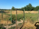 Un'immagine del parco Un'immagine del parco