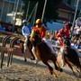 La vittoria di Legnarello nel 2024 con Antonio Siri ( Le foto dell'articolo per gentile concessione di LegnanoNews)