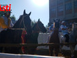 Le immagini del Palio (Ph Rozzino Filippo) Le immagini del Palio (Ph Rozzino Filippo)