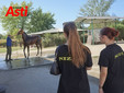Il secondo giorno di visite (Merphefoto) Il secondo giorno di visite (Merphefoto)