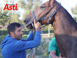 Il secondo giorno di visite (Merphefoto) Il secondo giorno di visite (Merphefoto)