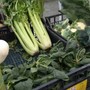 Asti, ogni lunedì il mercato agricolo Cia in piazza Alfieri. Intanto la ricerca Cia Trend fotografa il paradosso del Made in Italy [VIDEO]