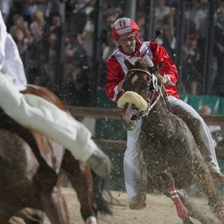 Palio, nella notte a Legnano scompare l'impianto di addestramento: "Un gesto vile che colpisce la tradizione"